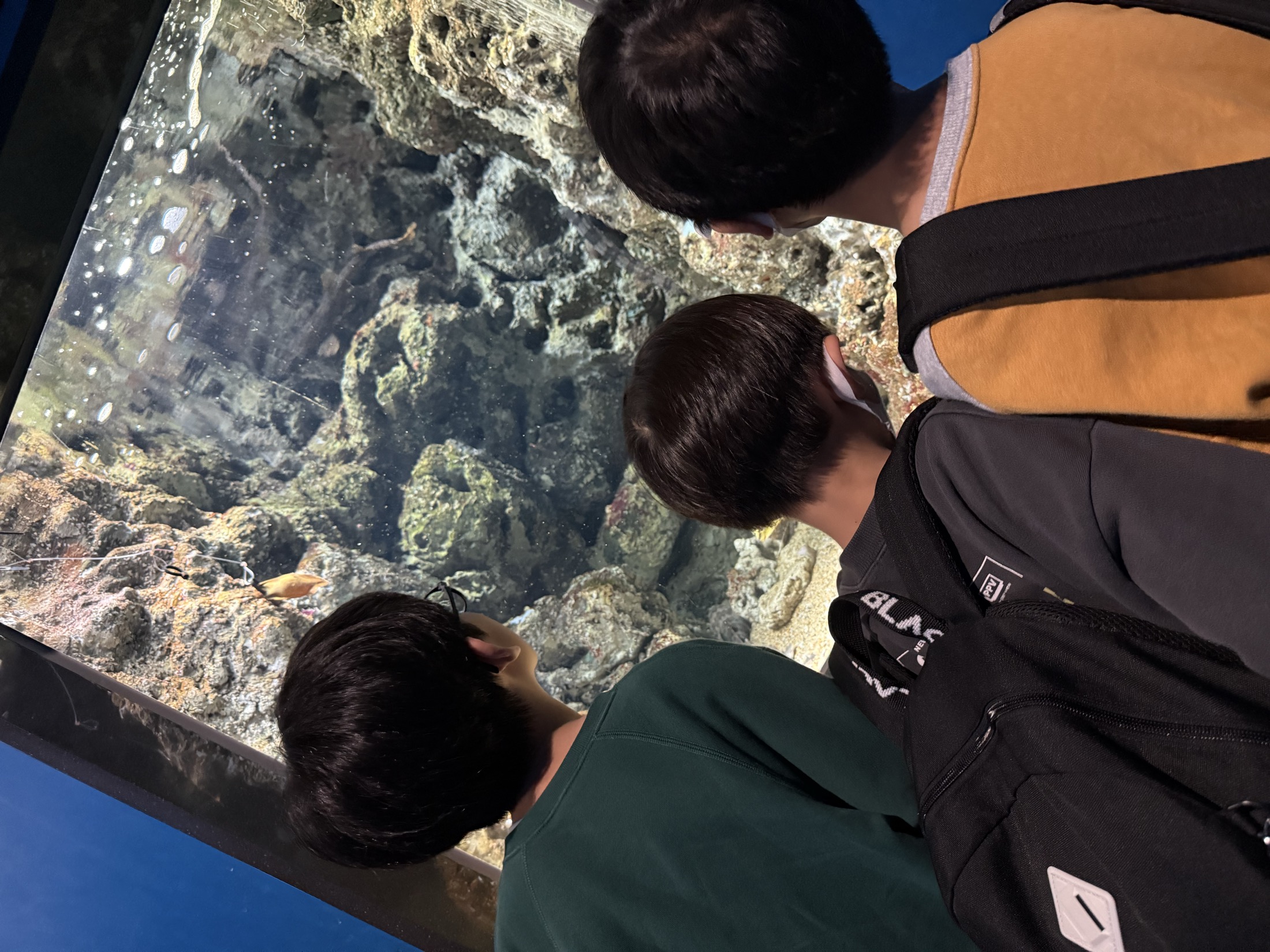 Students gathered around a large aquarium display during an outing.